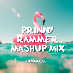Prinny Rammer Mashup Mix