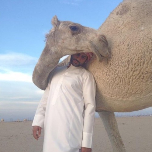 أنا جهاتك الأربعة وأنا المصير