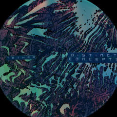 Distinct Concepts EP