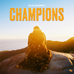 Copy of Daily Drops