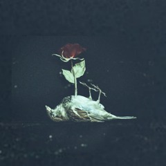 Deªd§ouL