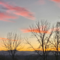 Winter Sky