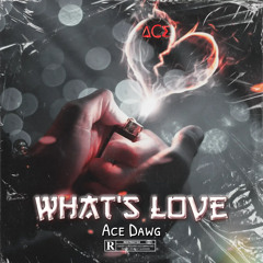 Ace Dawg - What’s love