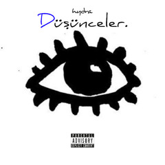 düşünceler