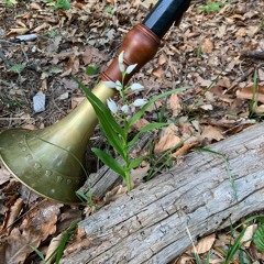 Ana Inés Feola - Oboe