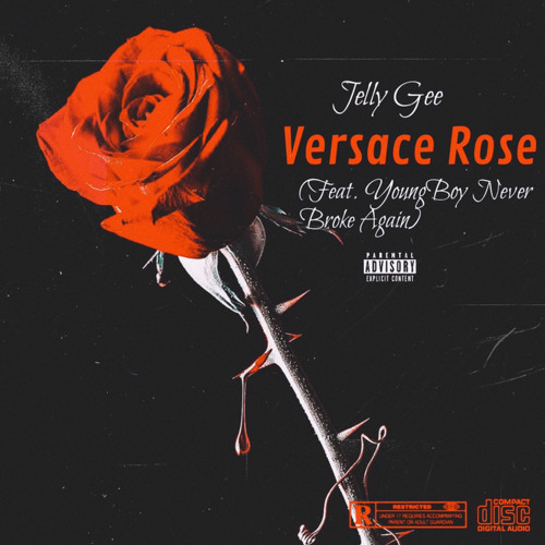 Stream Versace Rose (feat. YoungBoy Never Broke Again) (Official Audio) by  Jelly Gee | Listen online for free on SoundCloud