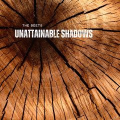 Unattainable Shadows