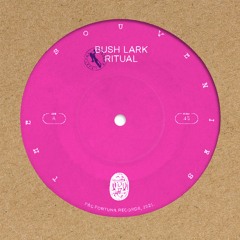 The Souvenirs - Bush Lark Ritual (FTN011 - A)