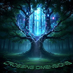 604 GOA - "Crossing Dimensions"