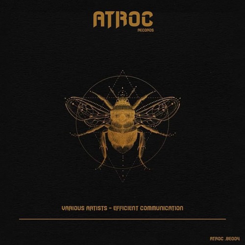 V/A - Efficient Communication [ATROC.BE004]