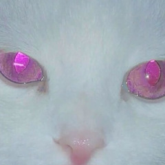 i̵̫͎̩̔̈́̕͝ ̸͎͔̰̆̐̏n̵͖̬̽̀è̶̹̭̲̍̀̈́ȩ̵̪̙̏͗͂̕͜d̵͎͈̣͐ē̴̪ͅͅd̷͖̪̀̋̏̚ ̶̙͎͒t̸̠̖̦͒o̸̝̪̖͕͝ ̴͕̞̄g̵͎͇̋ơ̶͔̫̘̑͆͘ ̶͇͚͖̇͊t̶̝͎͚͎̔ố̴̮̻̈́͠ ̷̛̖͔̞͛̓s̷̡̘̳̾͐̾ͅl̶̨̨͛̆̉ḛ̶̢̦͑ė̴̺̪̞̕ͅp̴͓̟̝̦̆
