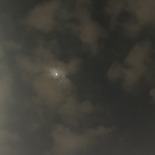 Stream Cough syrup Young the giant (Ukulele cover) by magnoliastarkid