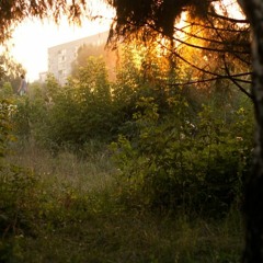 чётко