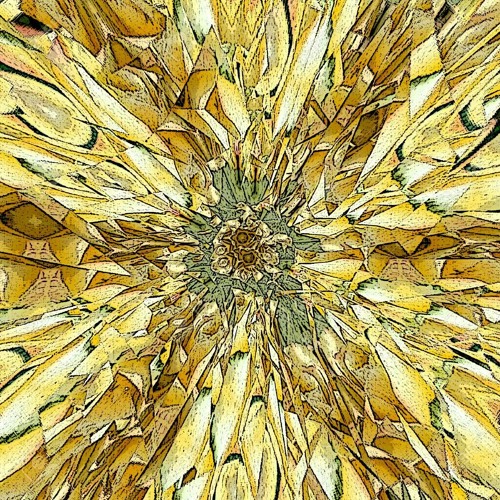Gilded Splinters