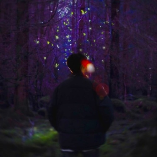 숲(prod.이경준)