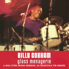 VANESSA (Live) [feat. Mike Stern, Michal Urbaniak, Gil Goldstein & Tim Landers]