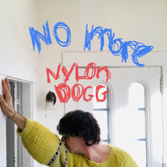 No More — 2.17.24 [NYLON DOGG]