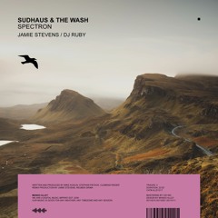 Sudhaus & The Wash - Spectron (DJ Ruby Remix) [MangoAlley]