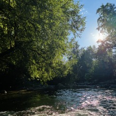 All That Is Beautiful