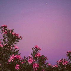 forgotten dreams