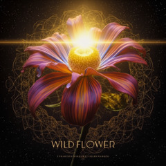 Wild Japanese Mirror