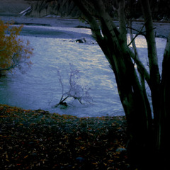 score 3 - Electric Elegy