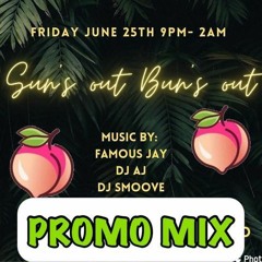 Suns Out Buns Out Promo Mix