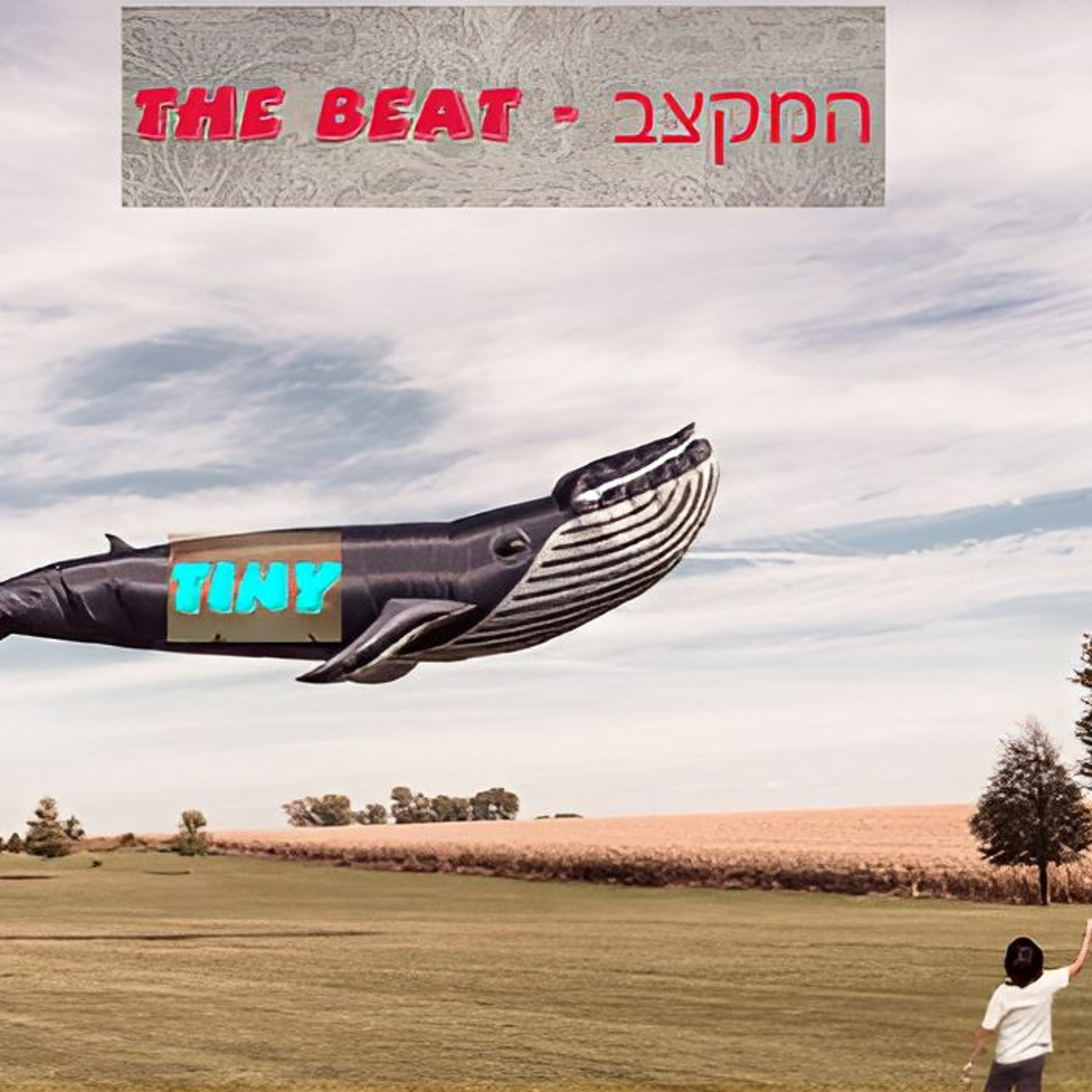 THE BEAT - המקצב episode artwork
