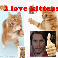 i love kittens