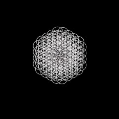 the flower