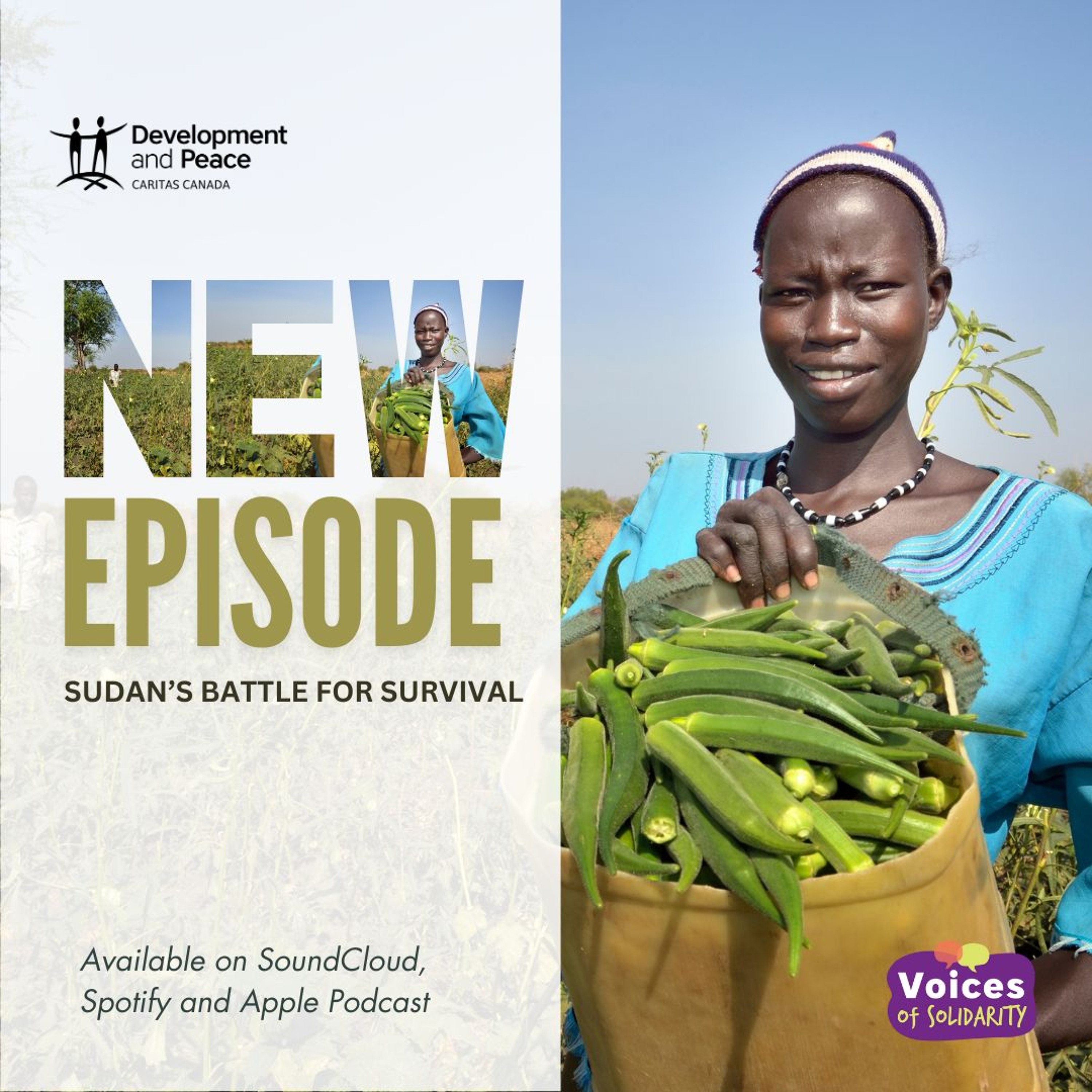 Sudan’s Battle for Survival episode artwork