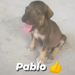 Blow out-Radiohead live at Astoria 1994