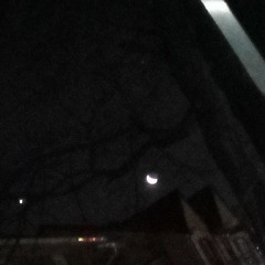 My Mental 🥀 - (Ft x Bam Rover)