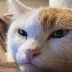 WYMCI(KBC2021)#KM #mondaybeatcypher