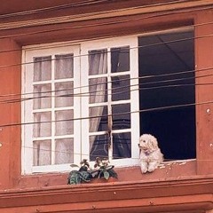 Tanto Sufrir Para Morirse Uno #2