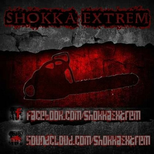 Shokka Extrem  Live  @ Diagnose Totalschaden Eisleben 24112012