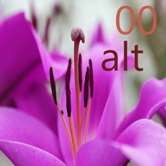 Alt00