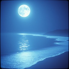 MOONLIGHT ON THE SEA
