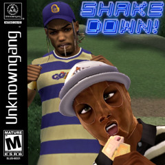 SHAKE DOWN! ft. RELLo