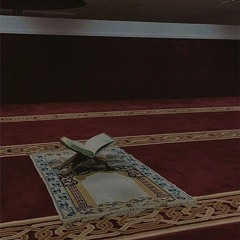 عشائية هادئة - ما تيسر من سورة البقرة | الشيخ عبد الرحمن الزواوي