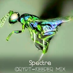 Crypt-Keeper (Forest Dark Psy DJ Mix)