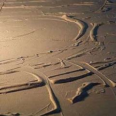 Muzak Concrète: 16th November '25