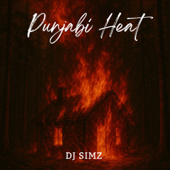 DJSIMZ - Punjabi Heat - 2025