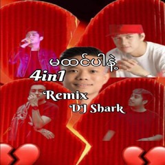 Ma Htin Par Nat 4in1(Remix DJ Shark)