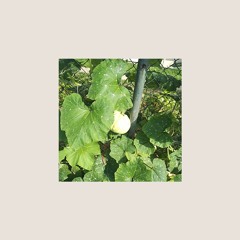 호박넝쿨 가는 길 (prod. iSmael Jam)