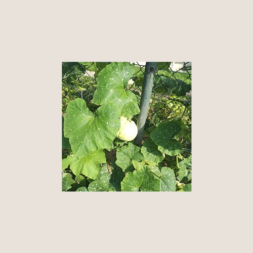 호박넝쿨 가는 길 (prod. iSmael Jam)