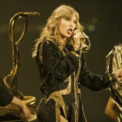 Taylor Swift ~ End Game ~ Reputation Tour Karaoke