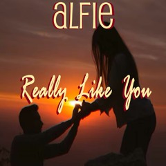 Alfie - Really Like You