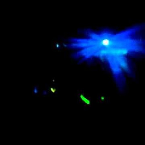 novu x attaxks - pods