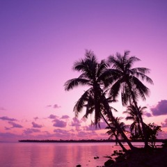 Nils Karr - Walking Small Paths (Original Mix)